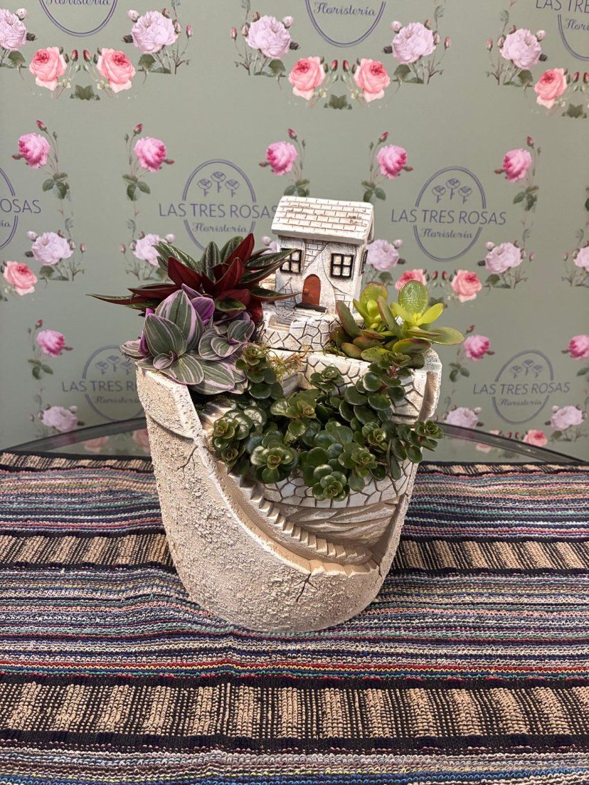 whatsapp image 2026 03 05 at 10 17 58