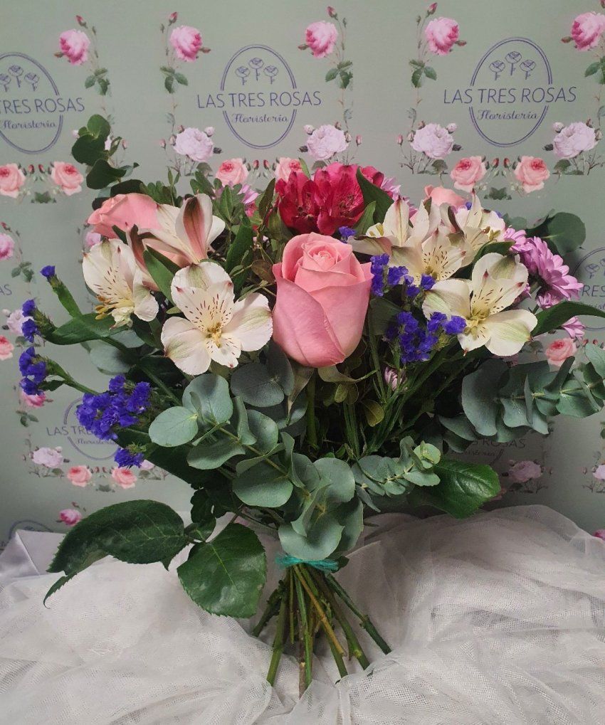 whatsapp image 2024 05 01 at 13 18 31 1