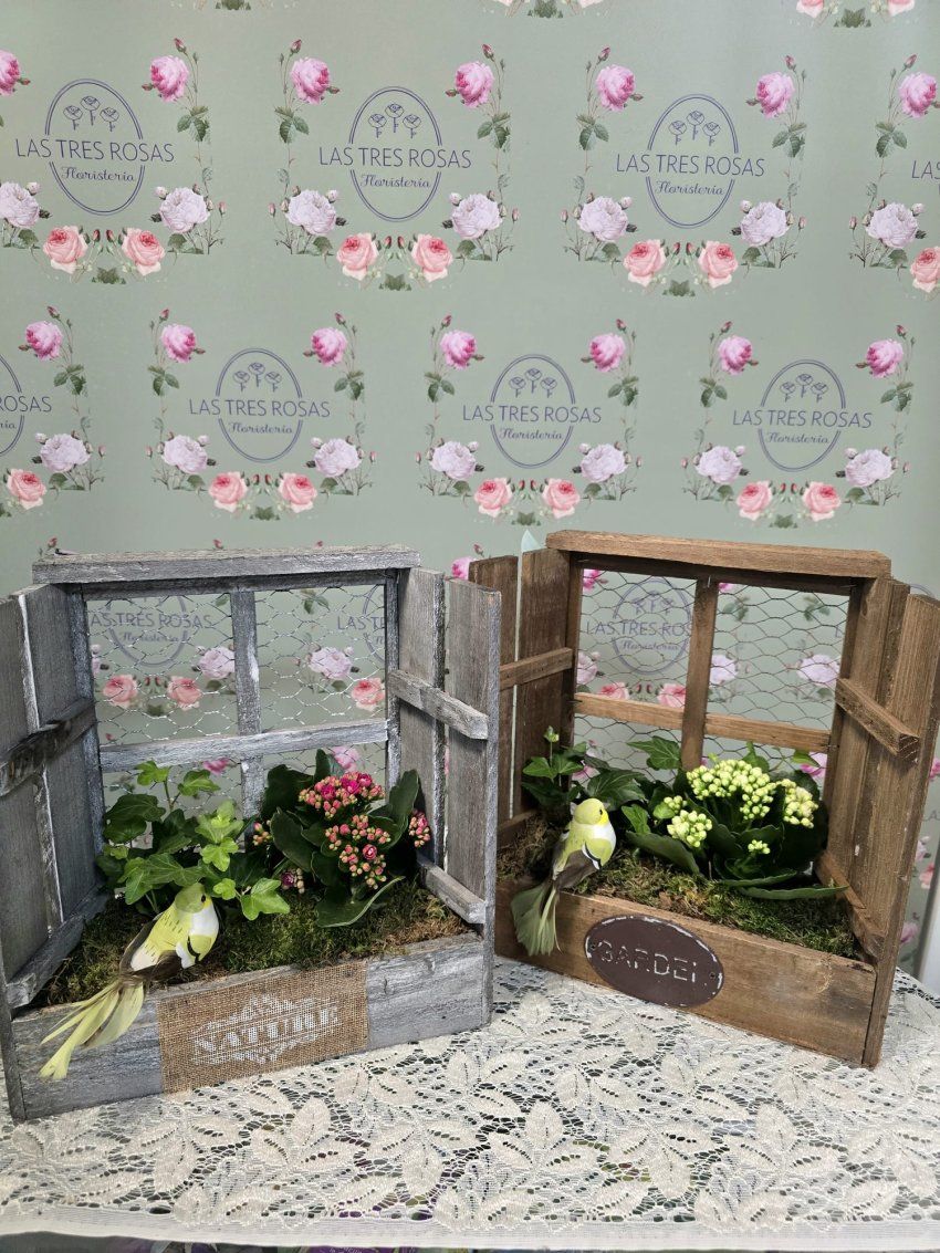 whatsapp image 2026 04 17 at 19 48 21