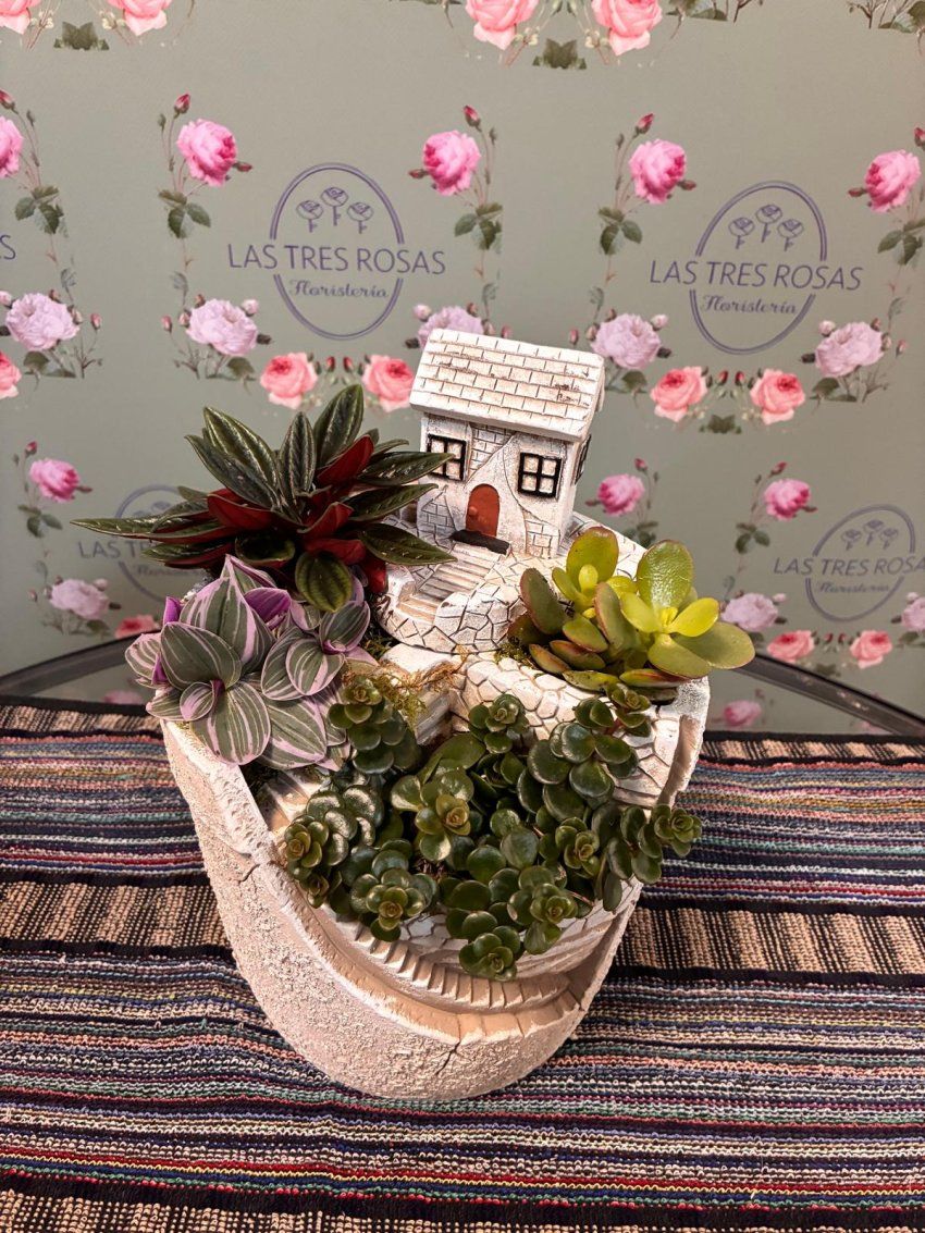 WhatsApp Image 2026 03 05 at 10.17.58 (1)