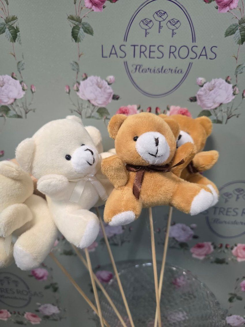 whatsapp image 2025 11 21 at 19 22 31