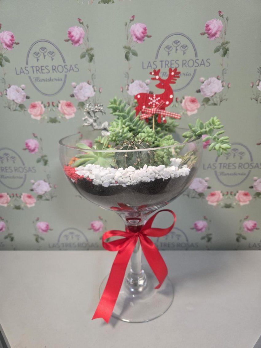 whatsapp image 2025 12 29 at 11 25 39