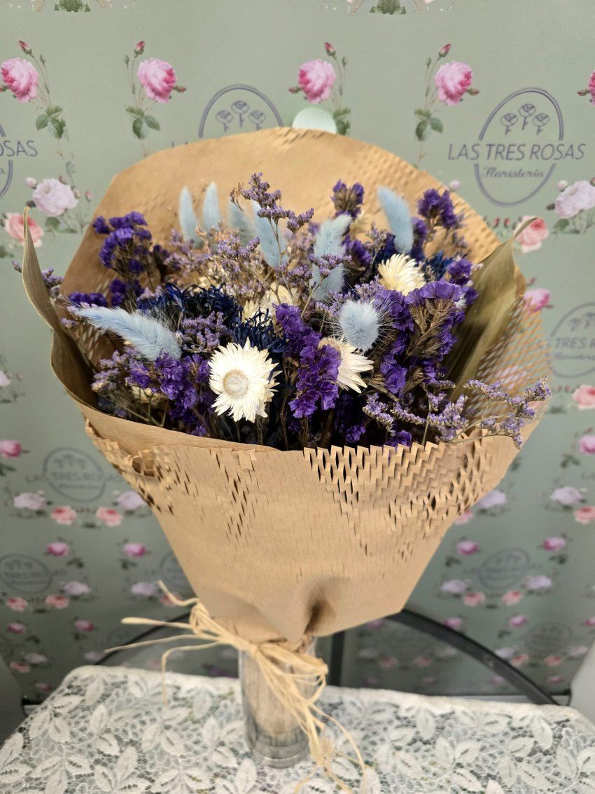 whatsapp image 2026 04 17 at 13 15 09