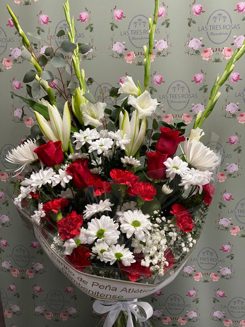 WhatsApp Image 2024 01 29 at 14.30.28