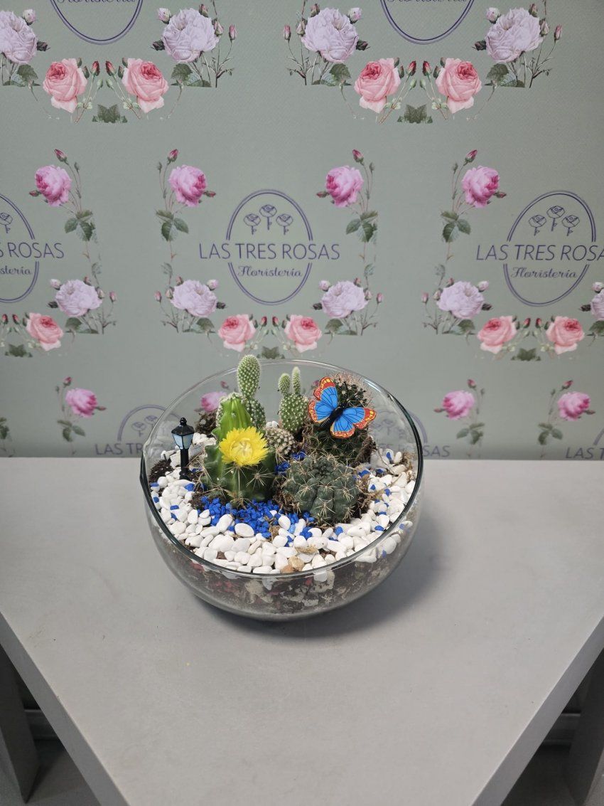 whatsapp image 2025 12 29 at 12 23 57