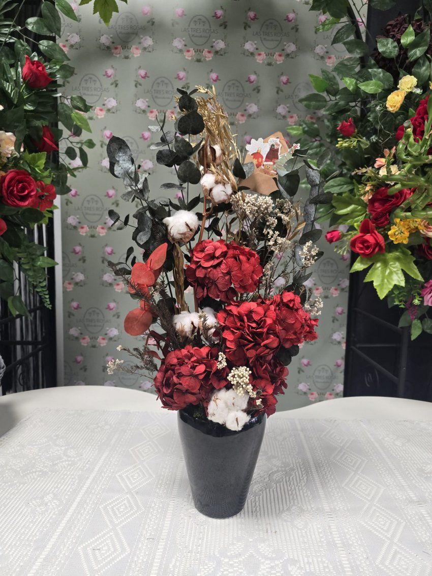 whatsapp image 2025 11 21 at 11 21 59