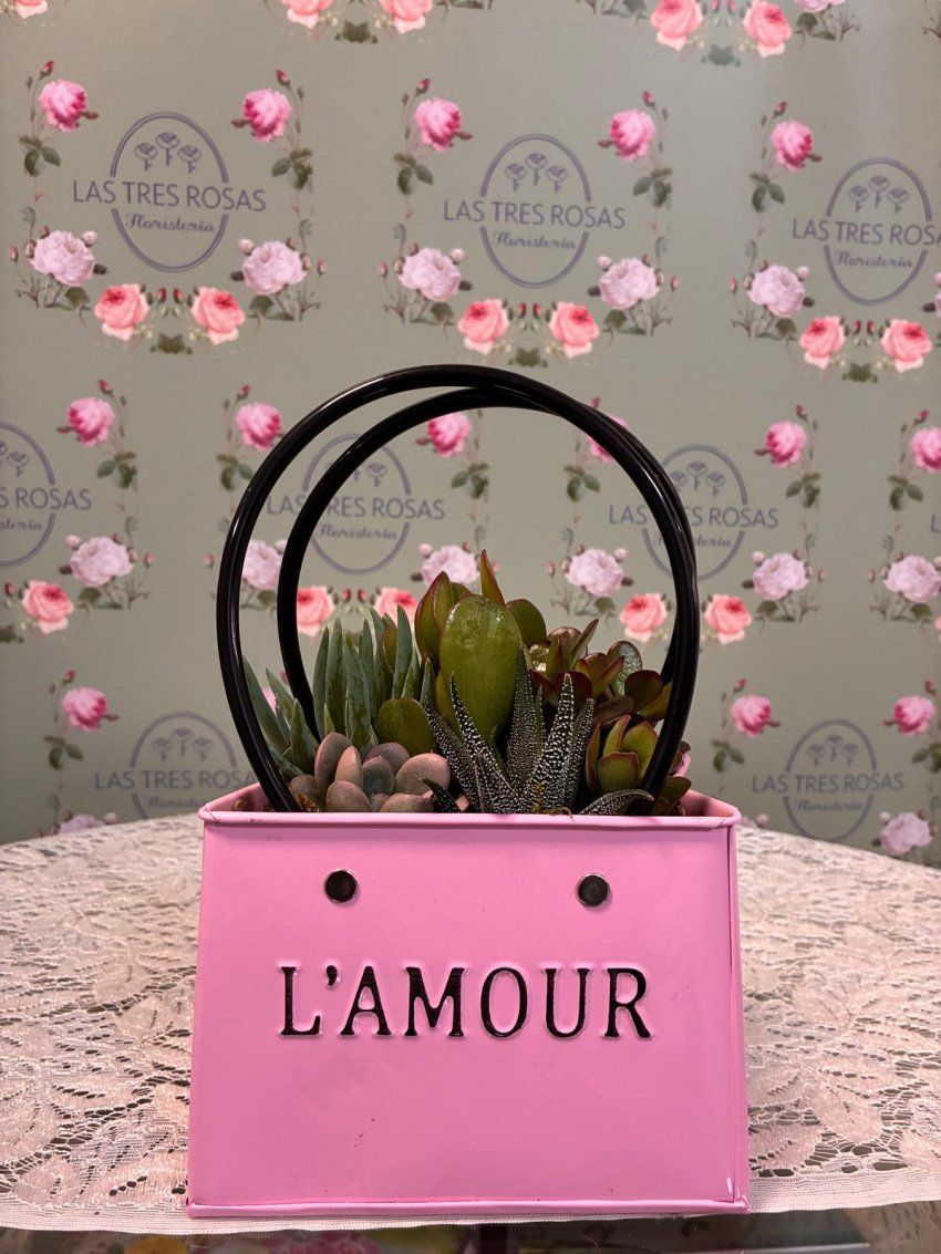 WhatsApp Image 2026 04 18 at 11.30.08 (1)