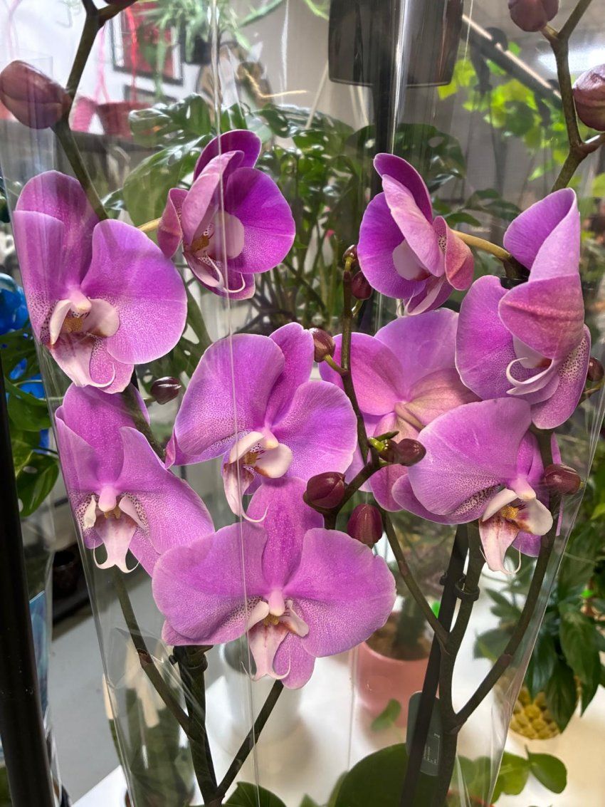 whatsapp image 2025 09 26 at 14 41 02 1