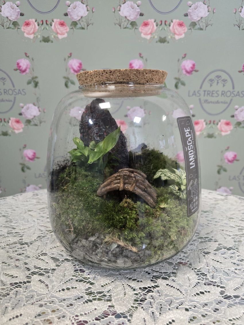 WhatsApp Image 2026 04 17 at 19.23.56