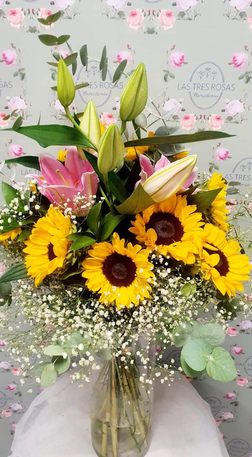 WhatsApp Image 2024 07 09 at 17.17.36