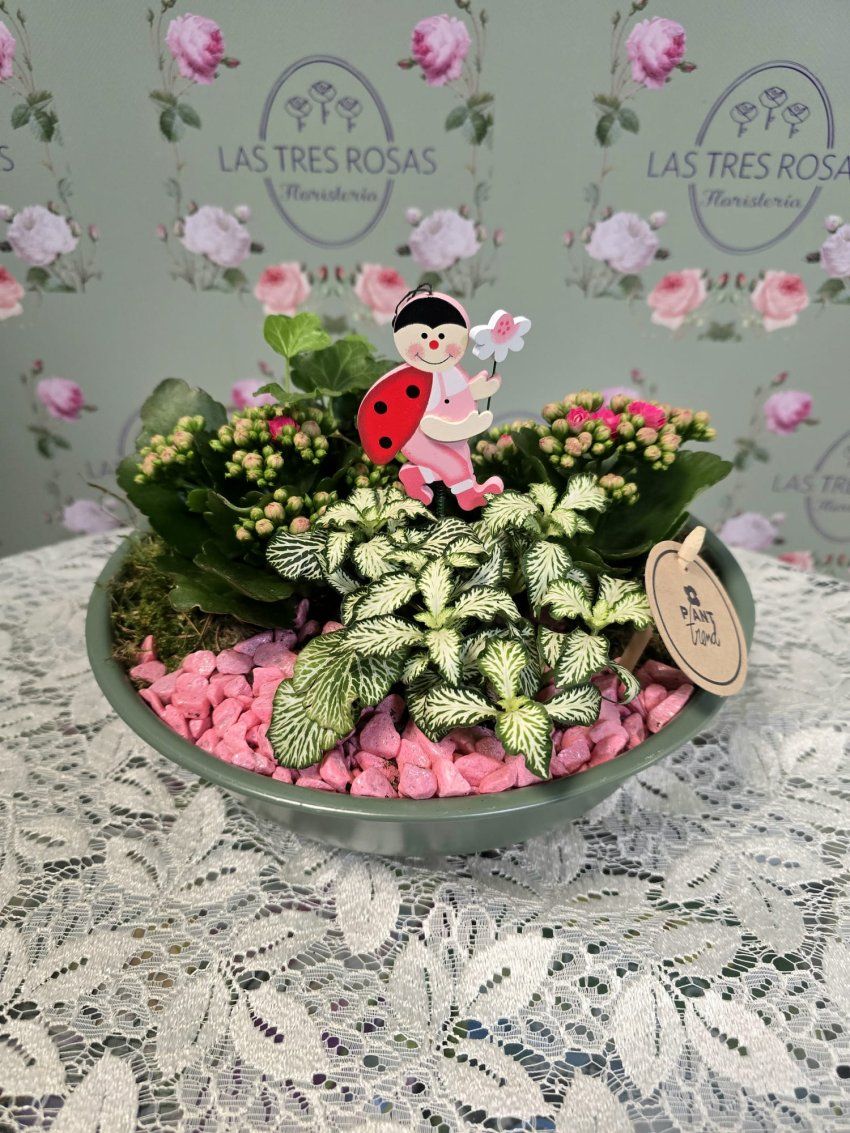 WhatsApp Image 2026 04 17 at 19.36.43