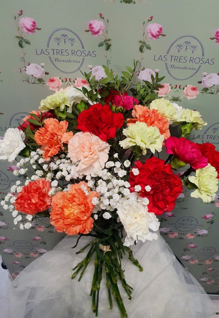 WhatsApp Image 2023 10 20 at 19.08.45