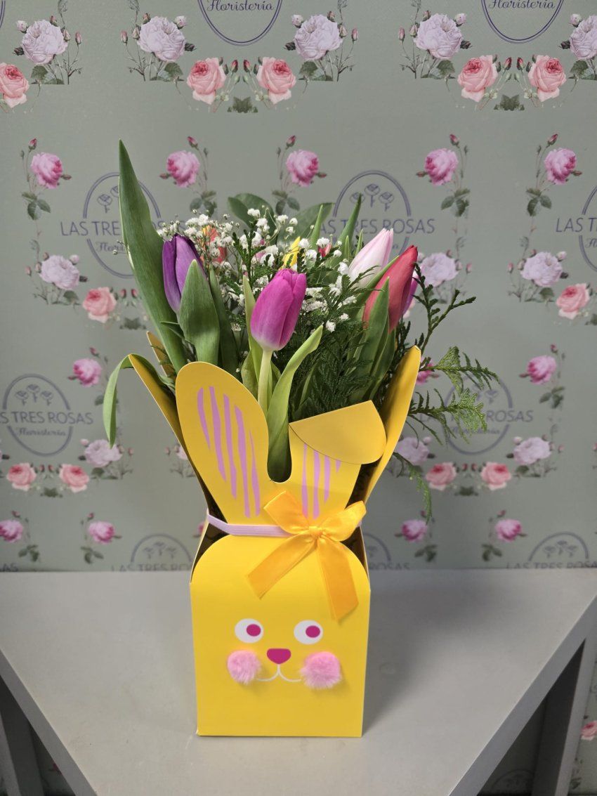 whatsapp image 2026 02 08 at 11 03 25