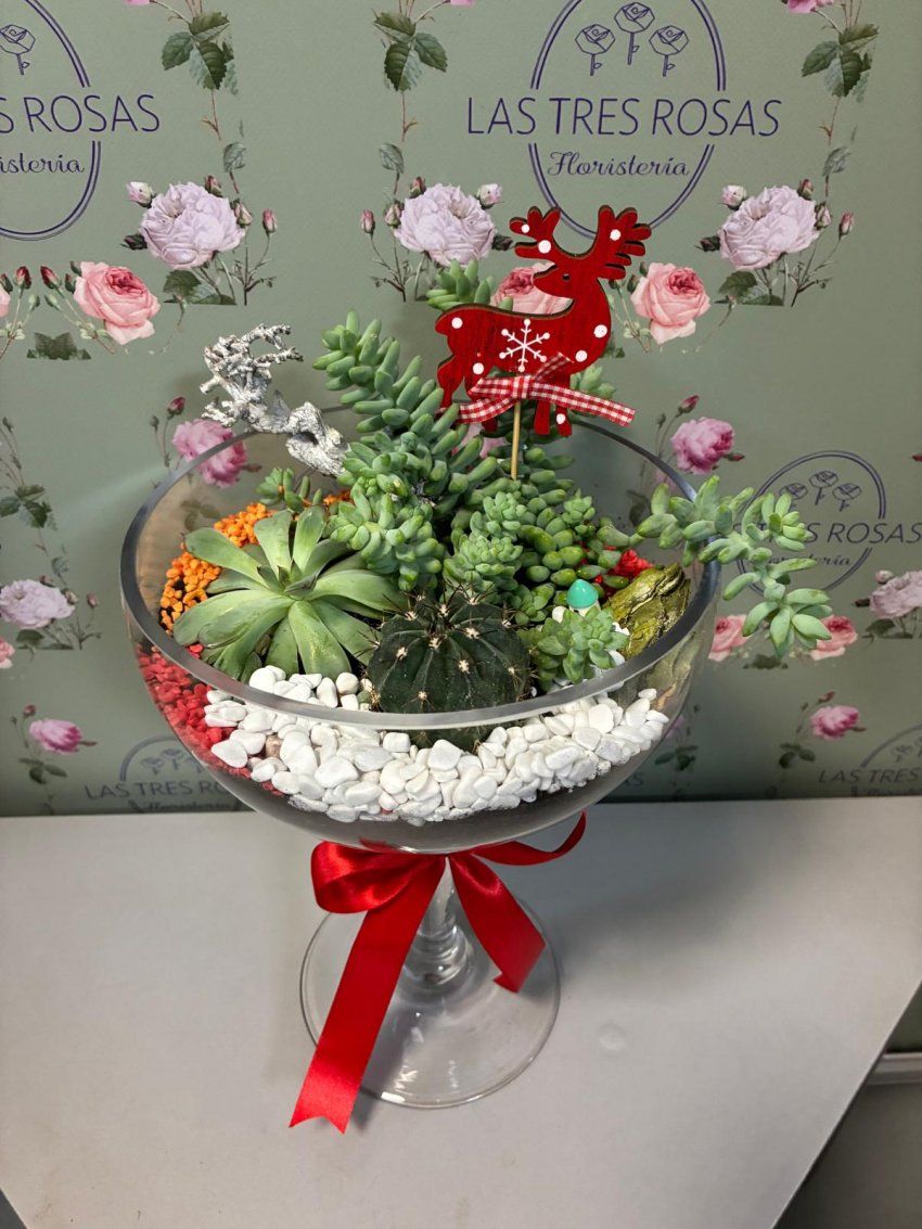 whatsapp image 2025 12 29 at 11 25 39 1