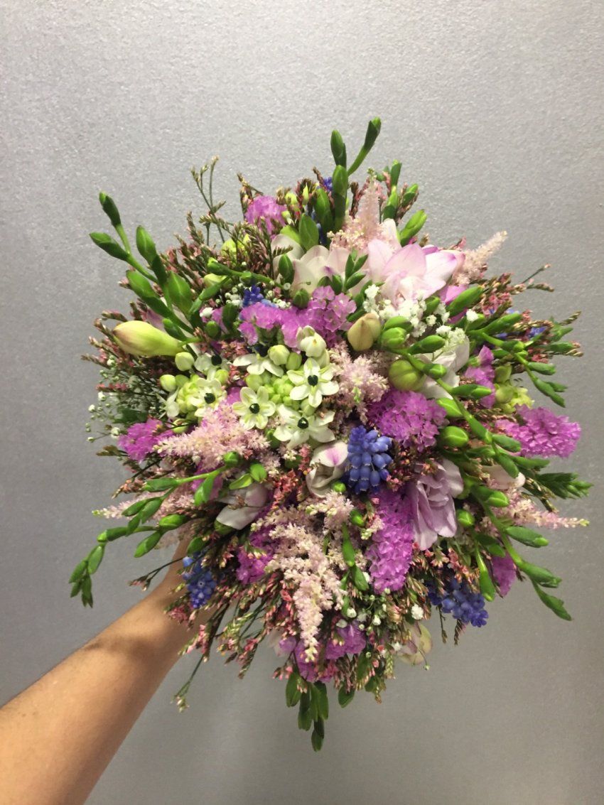 whatsapp image 2025 01 23 at 13 35 28