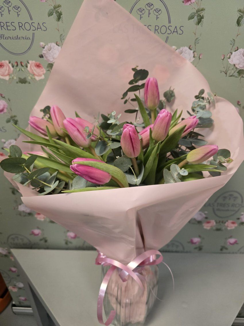 whatsapp image 2026 01 10 at 10 27 17