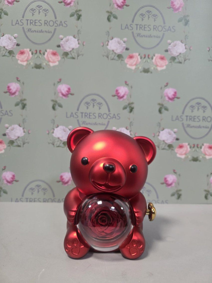 whatsapp image 2026 01 31 at 10 28 23 1