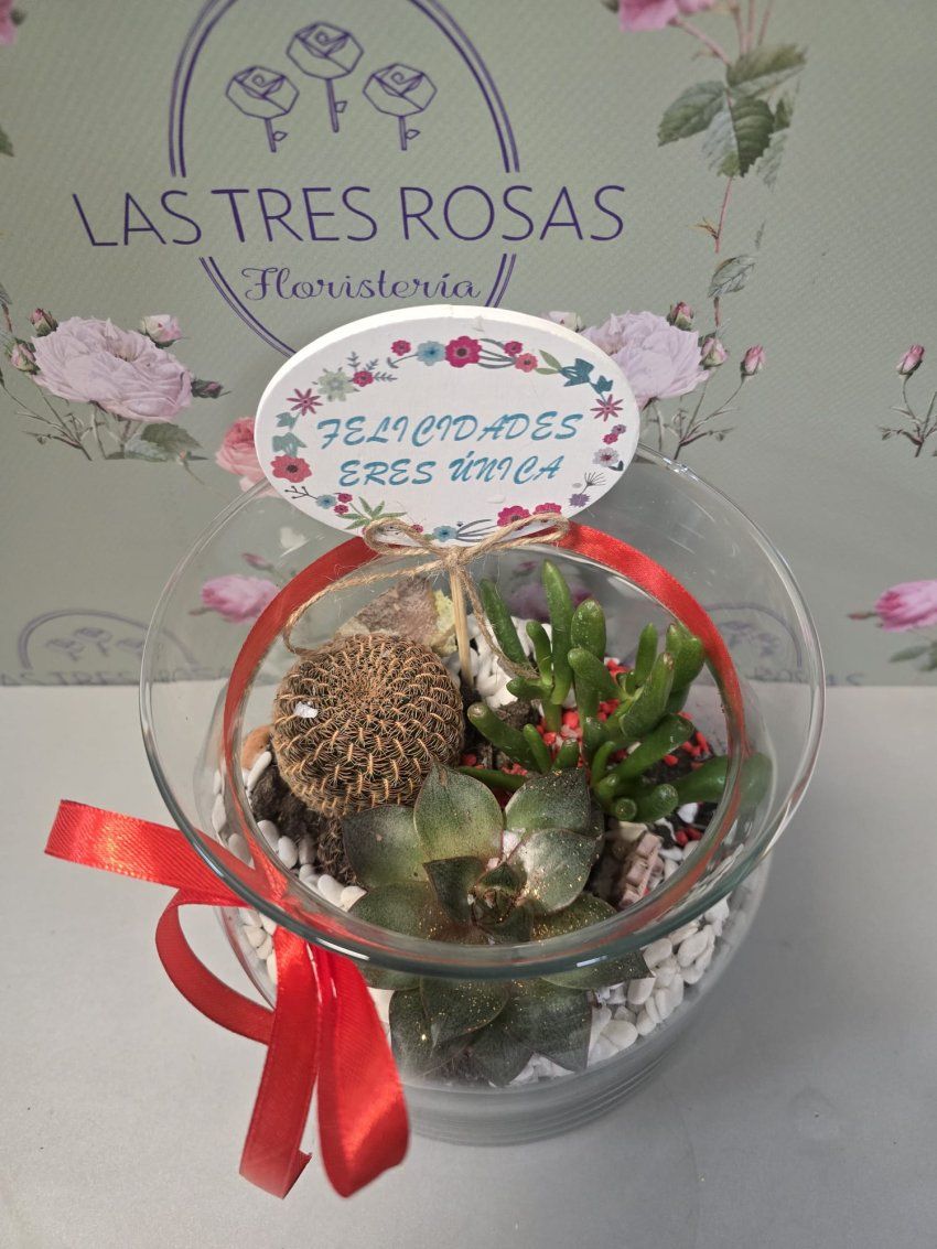 whatsapp image 2026 01 31 at 10 28 27 7