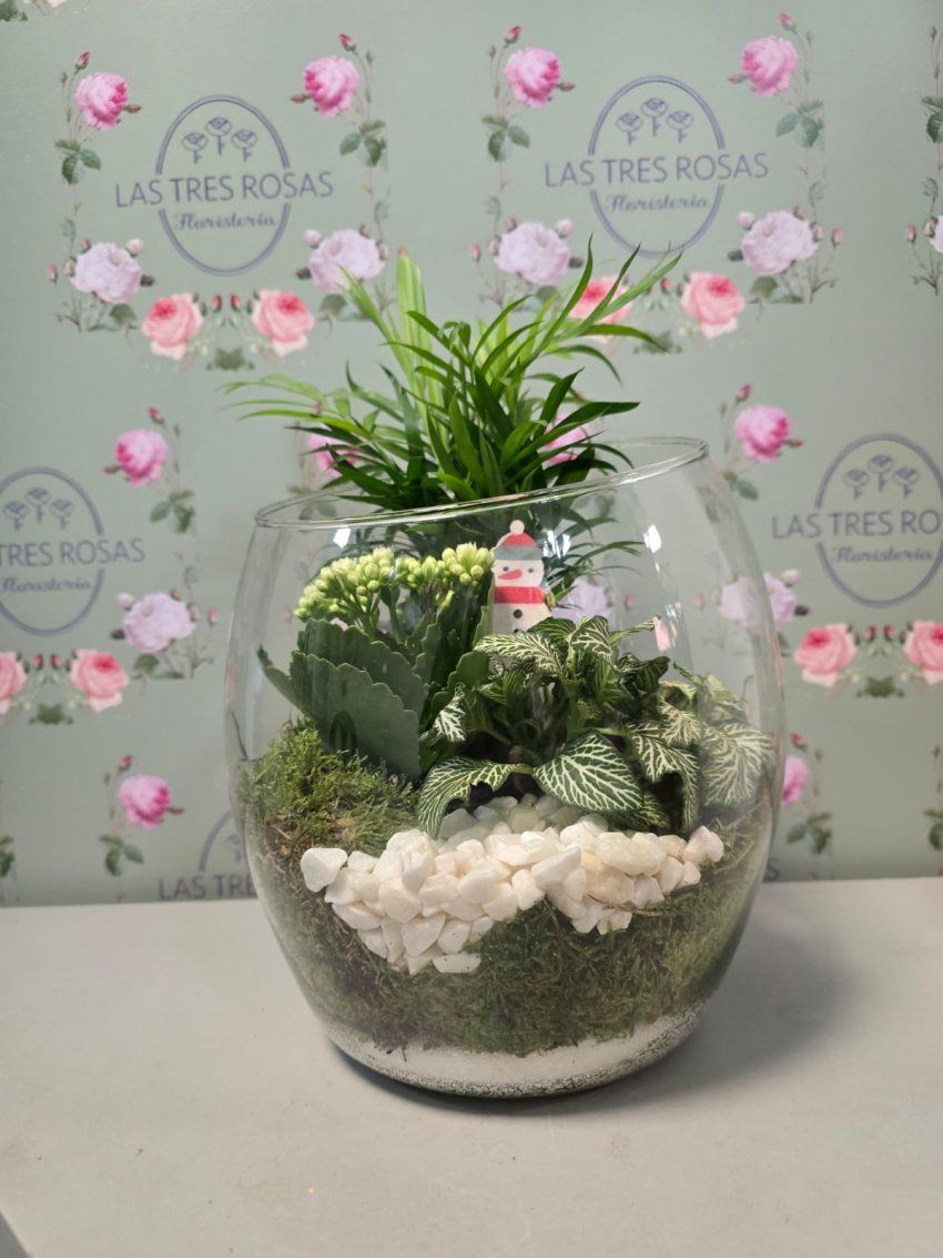 whatsapp image 2025 11 27 at 11 26 54