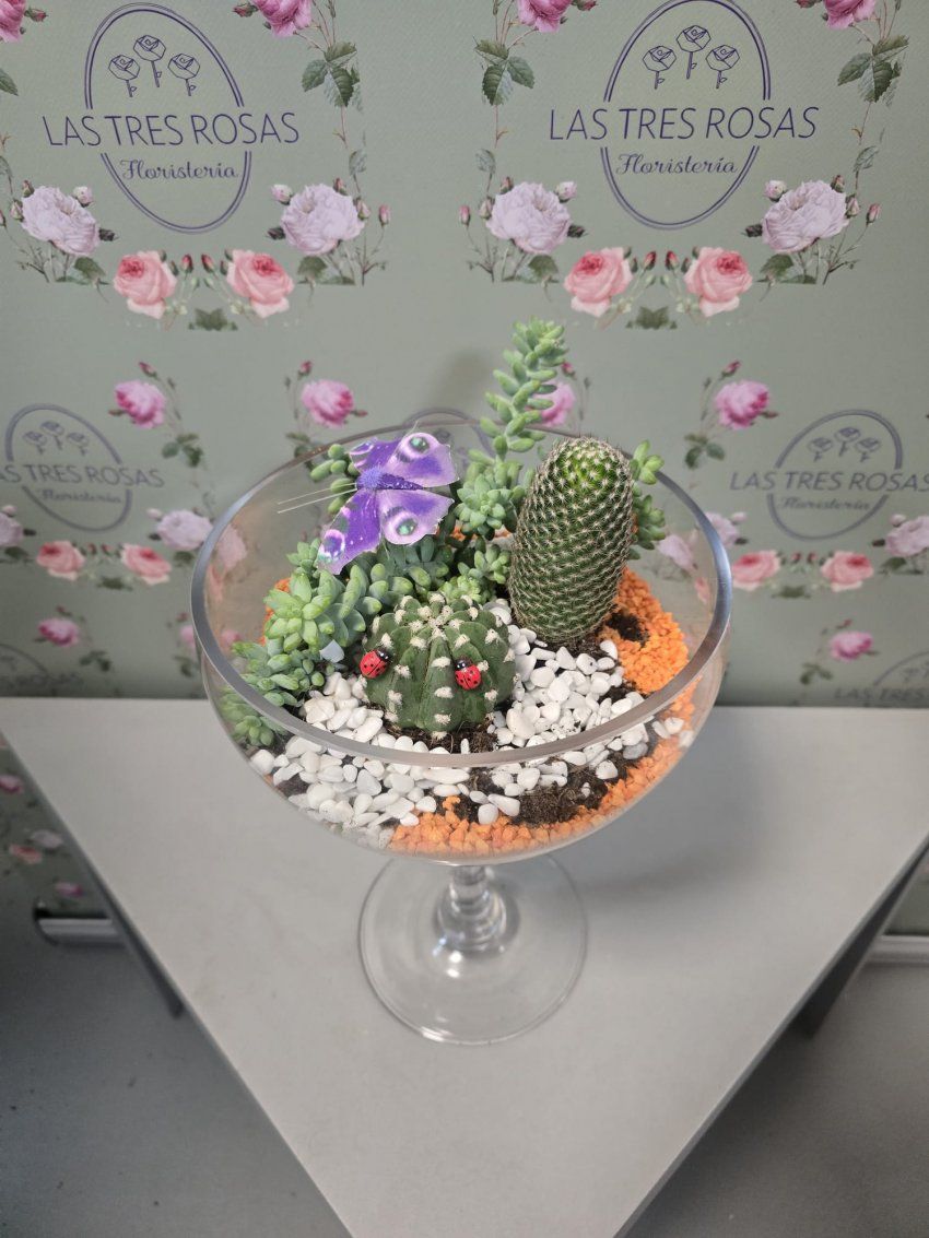 whatsapp image 2025 12 29 at 12 17 14