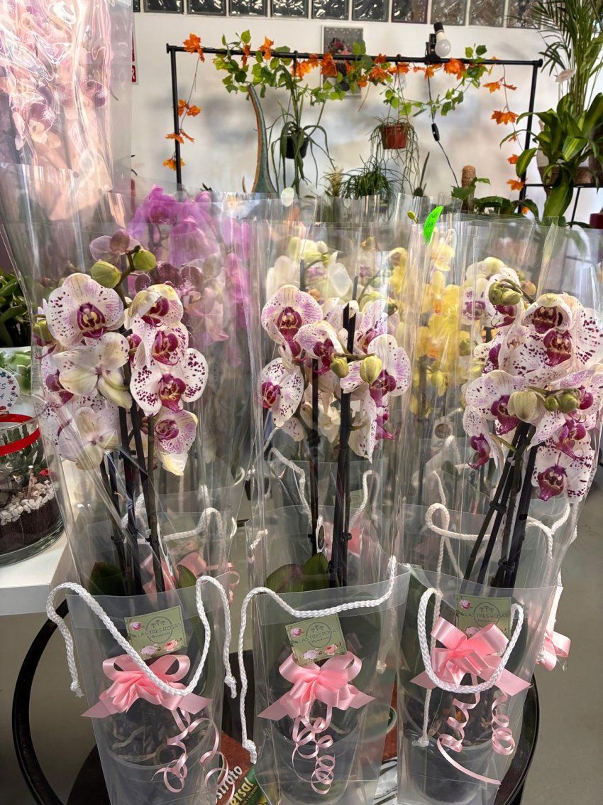 WhatsApp Image 2026 04 18 at 11.21.11