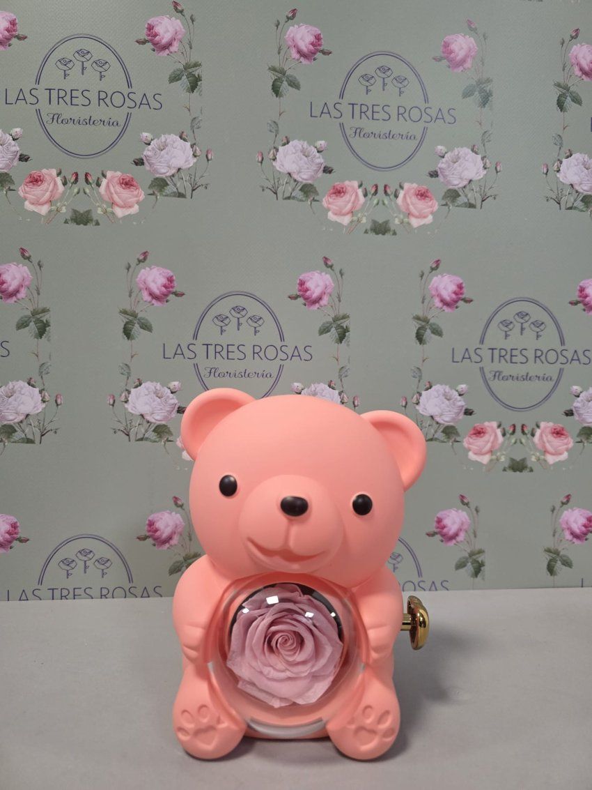 whatsapp image 2026 01 31 at 10 28 23