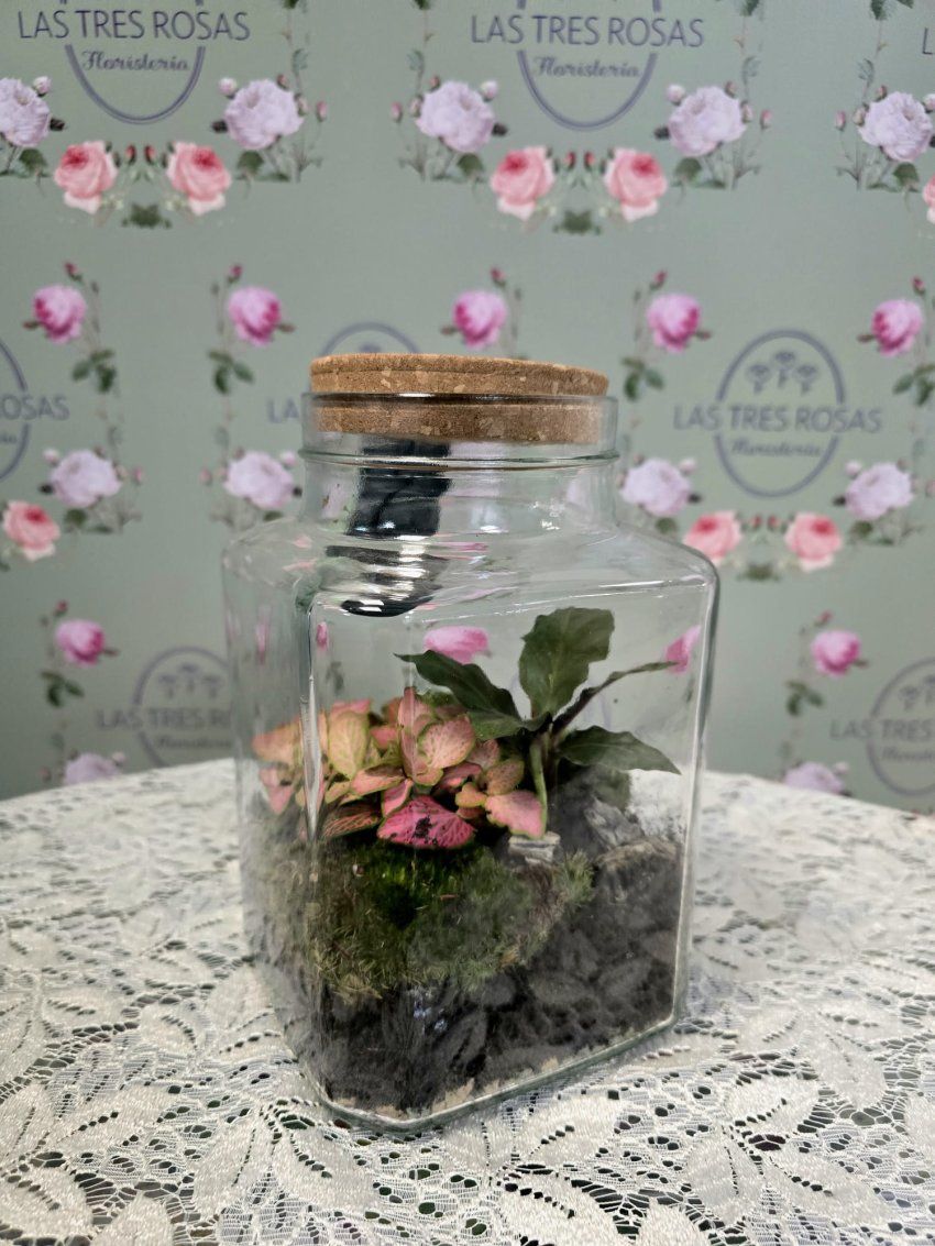 WhatsApp Image 2026 04 17 at 19.17.05