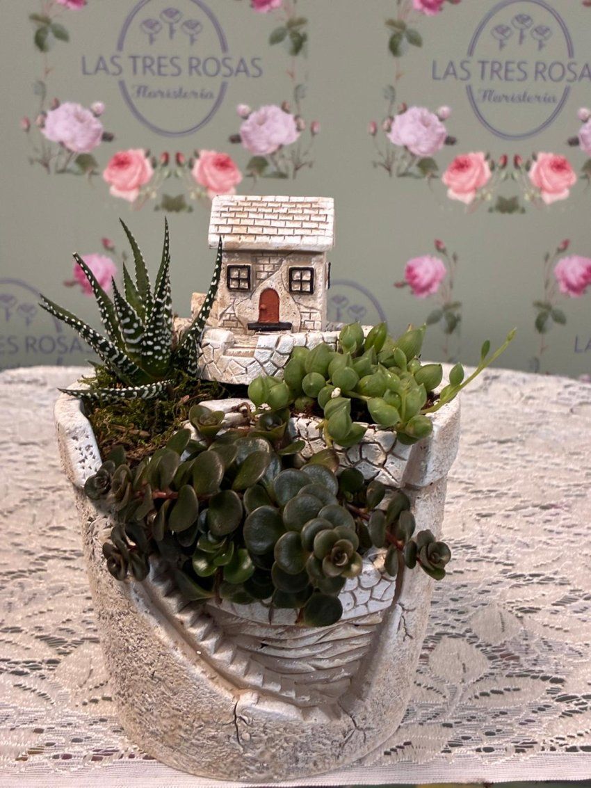 WhatsApp Image 2026 04 18 at 11.40.44 (1)