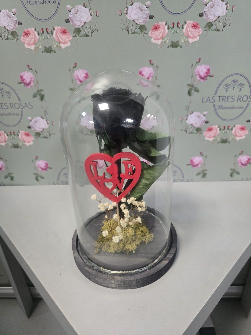 whatsapp image 2026 01 31 at 10 28 26 8