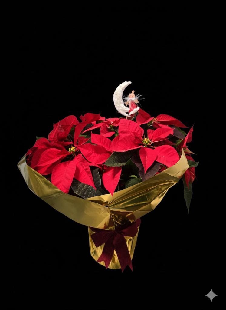 WhatsApp Image 2025 11 21 at 11.07.14