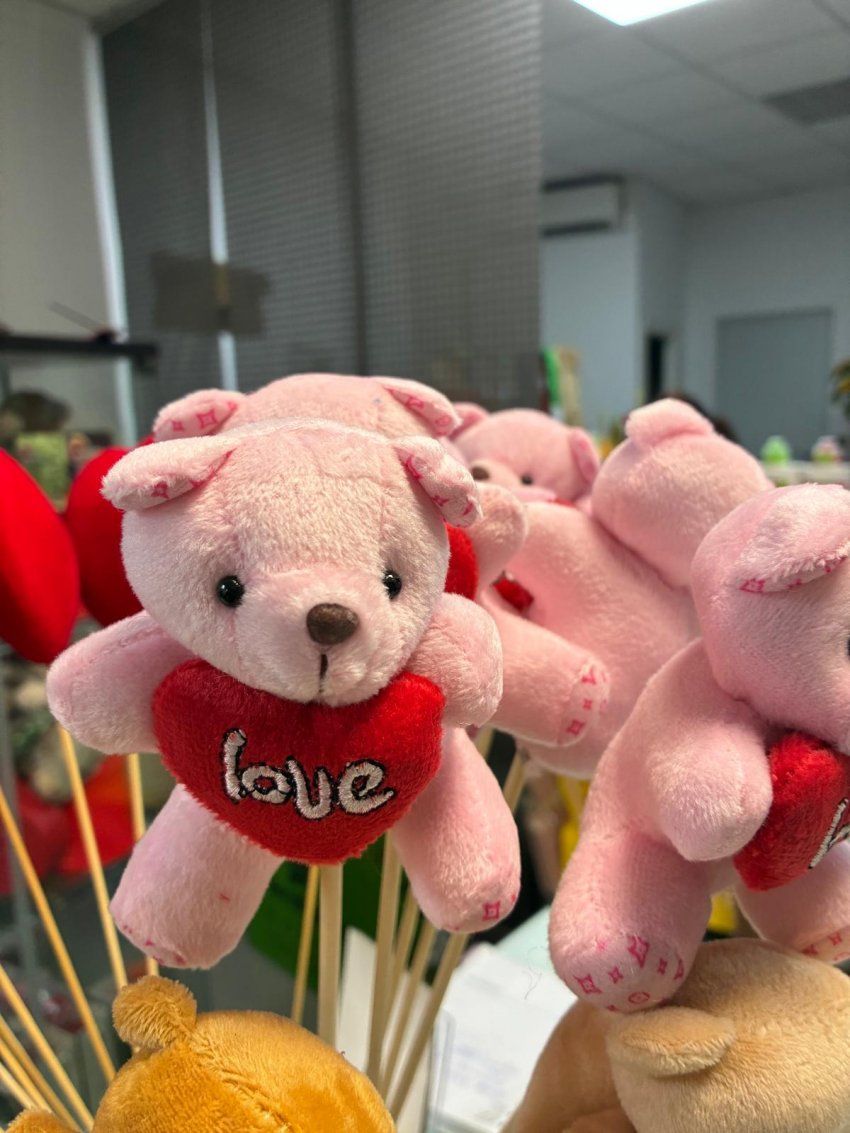 whatsapp image 2026 01 10 at 10 49 19