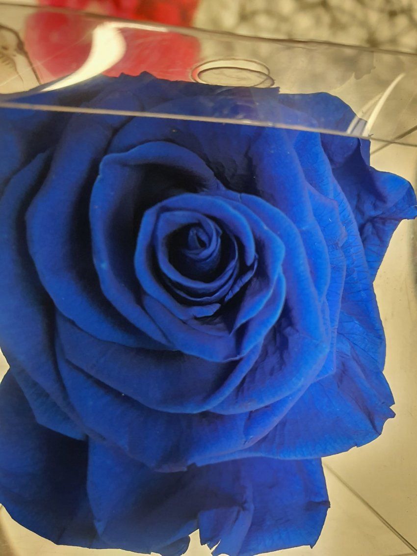 WhatsApp Image 2023 01 27 at 10.46.01 (1)