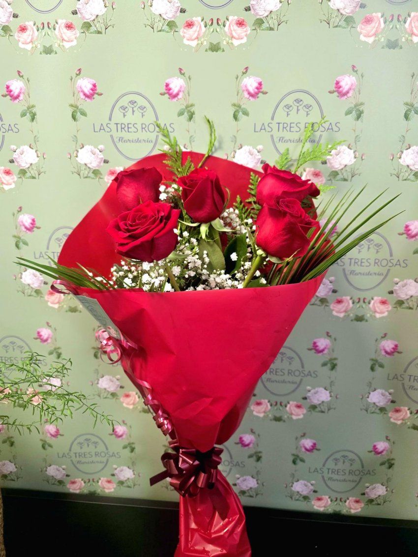 whatsapp image 2025 09 11 at 14 04 13