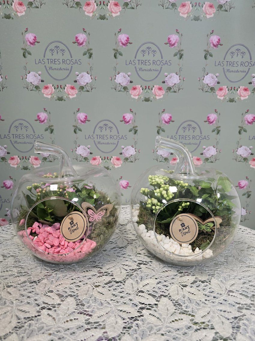 WhatsApp Image 2026 04 17 at 19.23.56 (1)