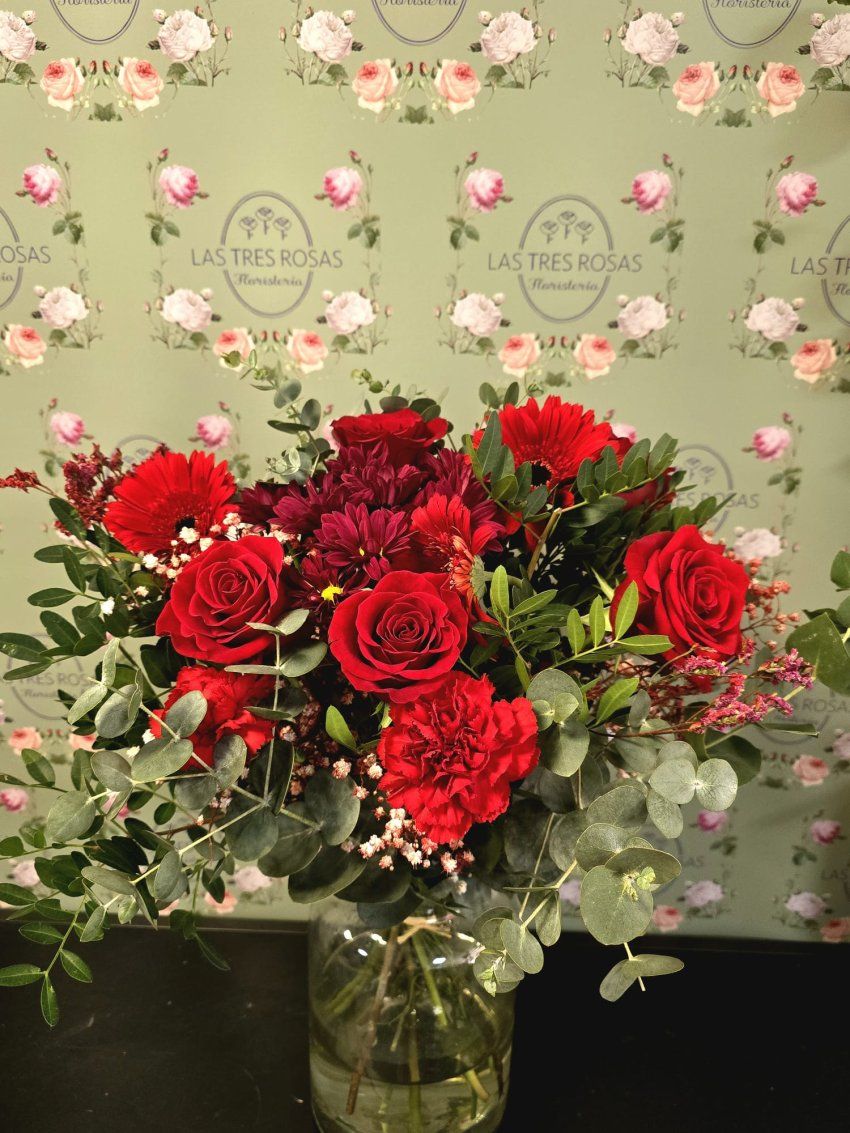 WhatsApp Image 2026 02 08 at 11.19.55