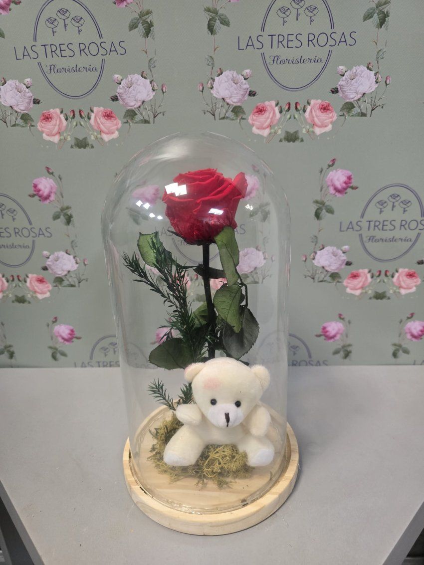 whatsapp image 2026 01 31 at 10 28 26 6