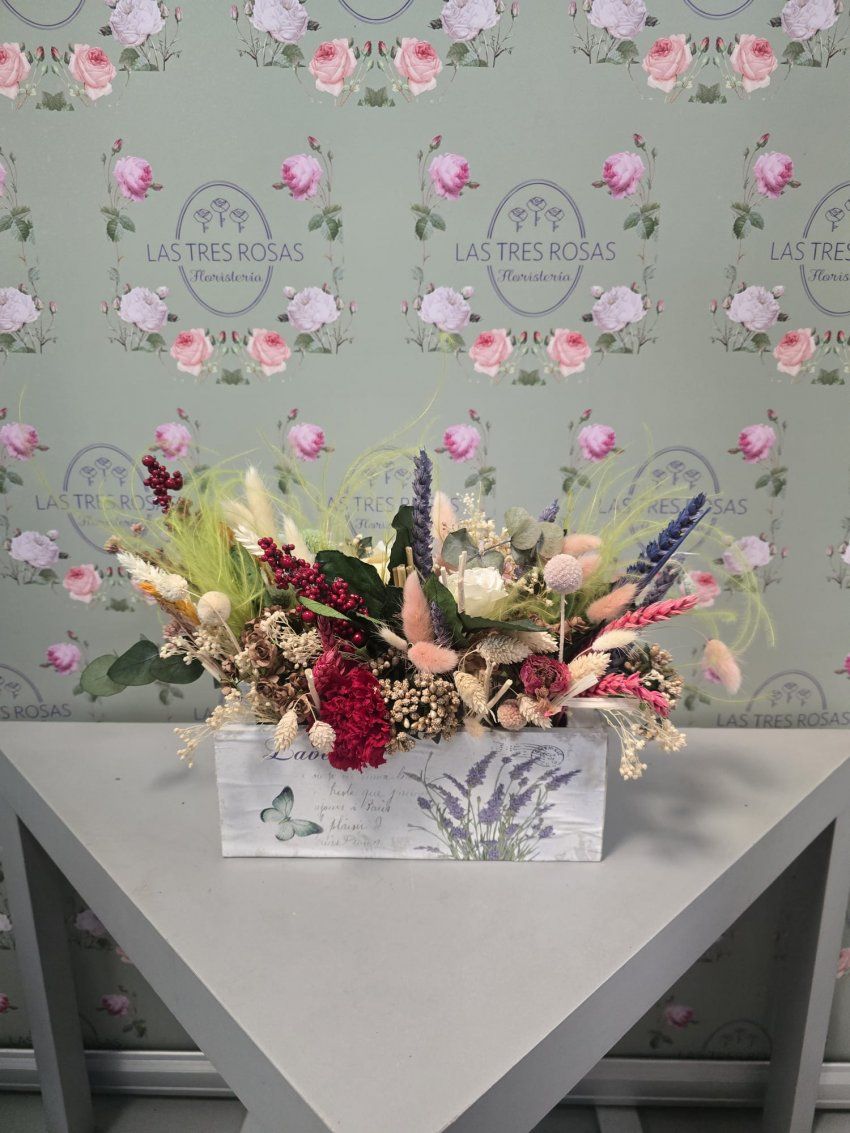 whatsapp image 2025 12 29 at 12 17 15