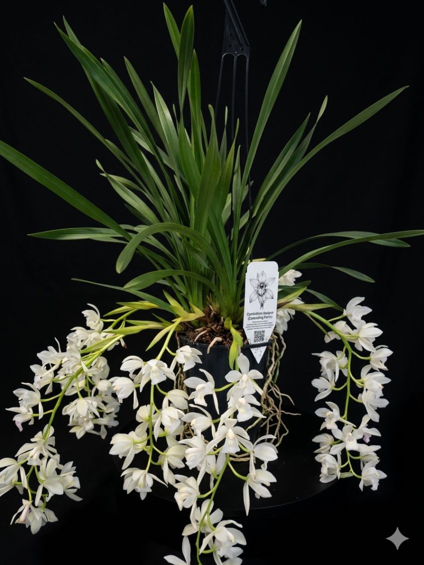 gemini generated image ndb4j4ndb4j4ndb4