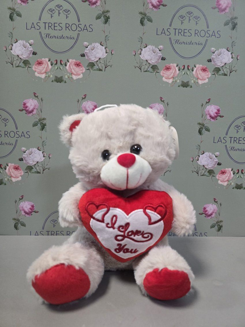 whatsapp image 2026 01 31 at 10 28 26 2