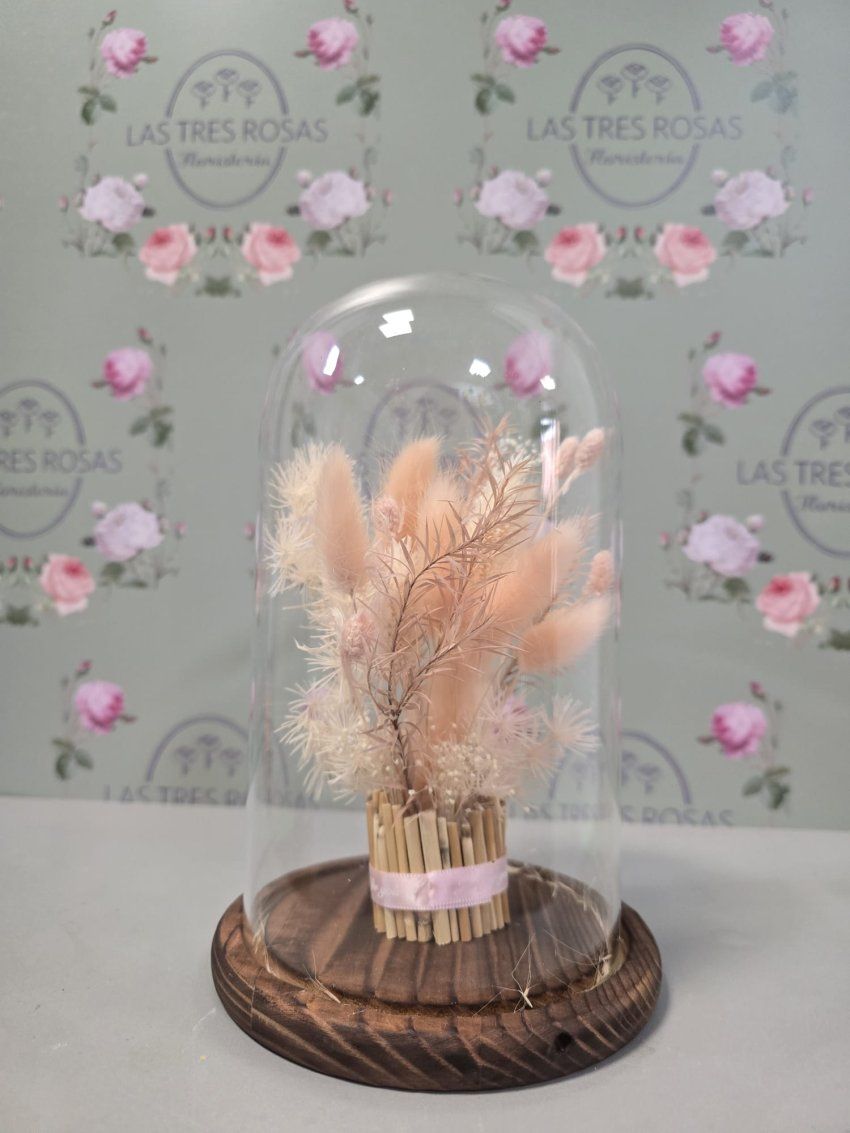 whatsapp image 2026 01 31 at 11 54 35