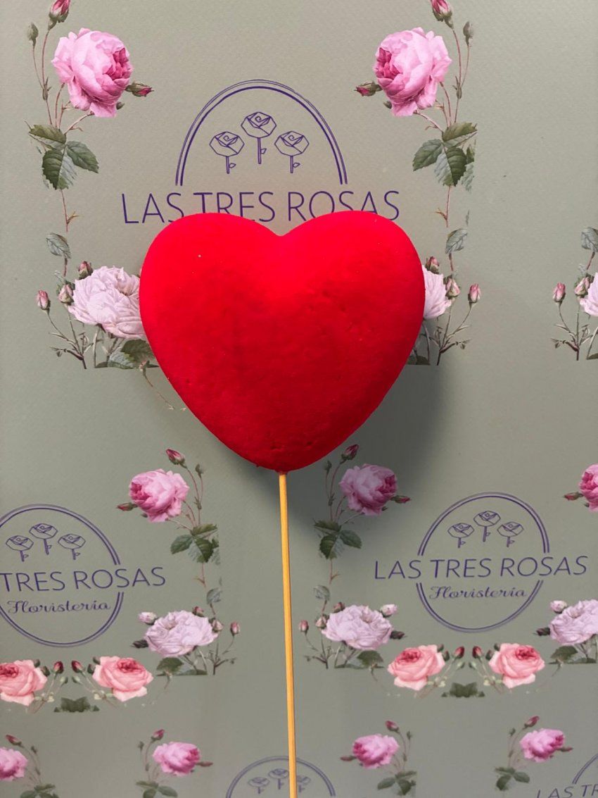 whatsapp image 2026 01 10 at 10 49 19 1