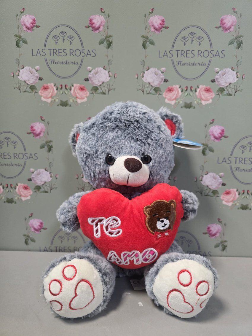 whatsapp image 2026 01 31 at 10 28 26 1