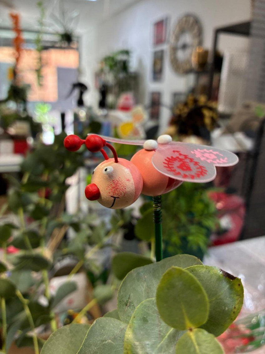 whatsapp image 2025 06 30 at 11 56 30