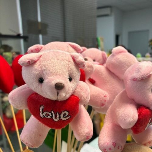 whatsapp image 2026 01 10 at 10 49 19