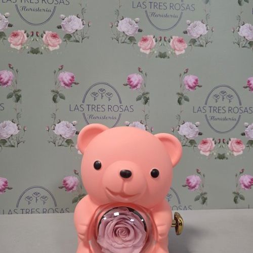 whatsapp image 2026 01 31 at 10 28 23