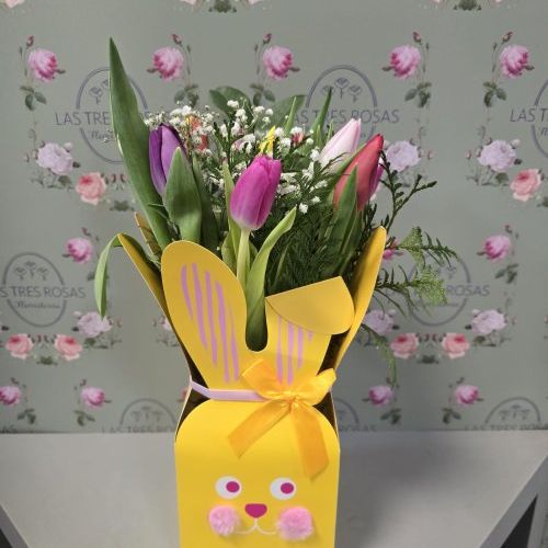 whatsapp image 2026 02 08 at 11 03 25