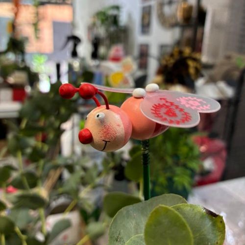 whatsapp image 2025 06 30 at 11 56 30