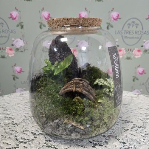 WhatsApp Image 2026 04 17 at 19.23.56