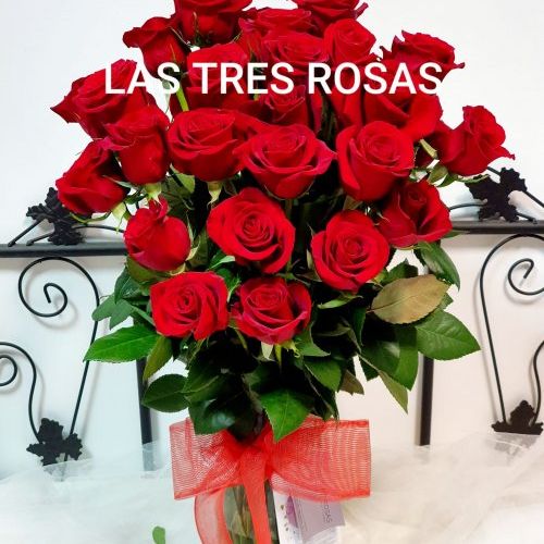 WhatsApp Image 2023 02 07 at 10