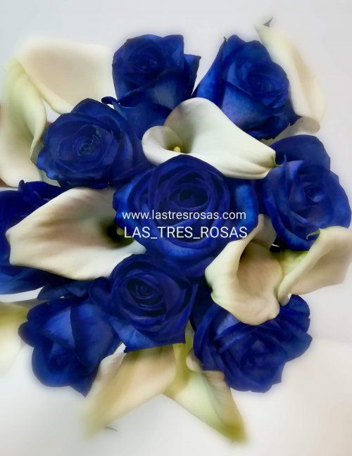 SERVICIO EN 24 HORAS/ URGENTES CONSULTAR